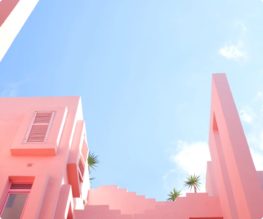 d03 img building pink.jpg