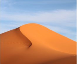 d03 img dunes.jpg